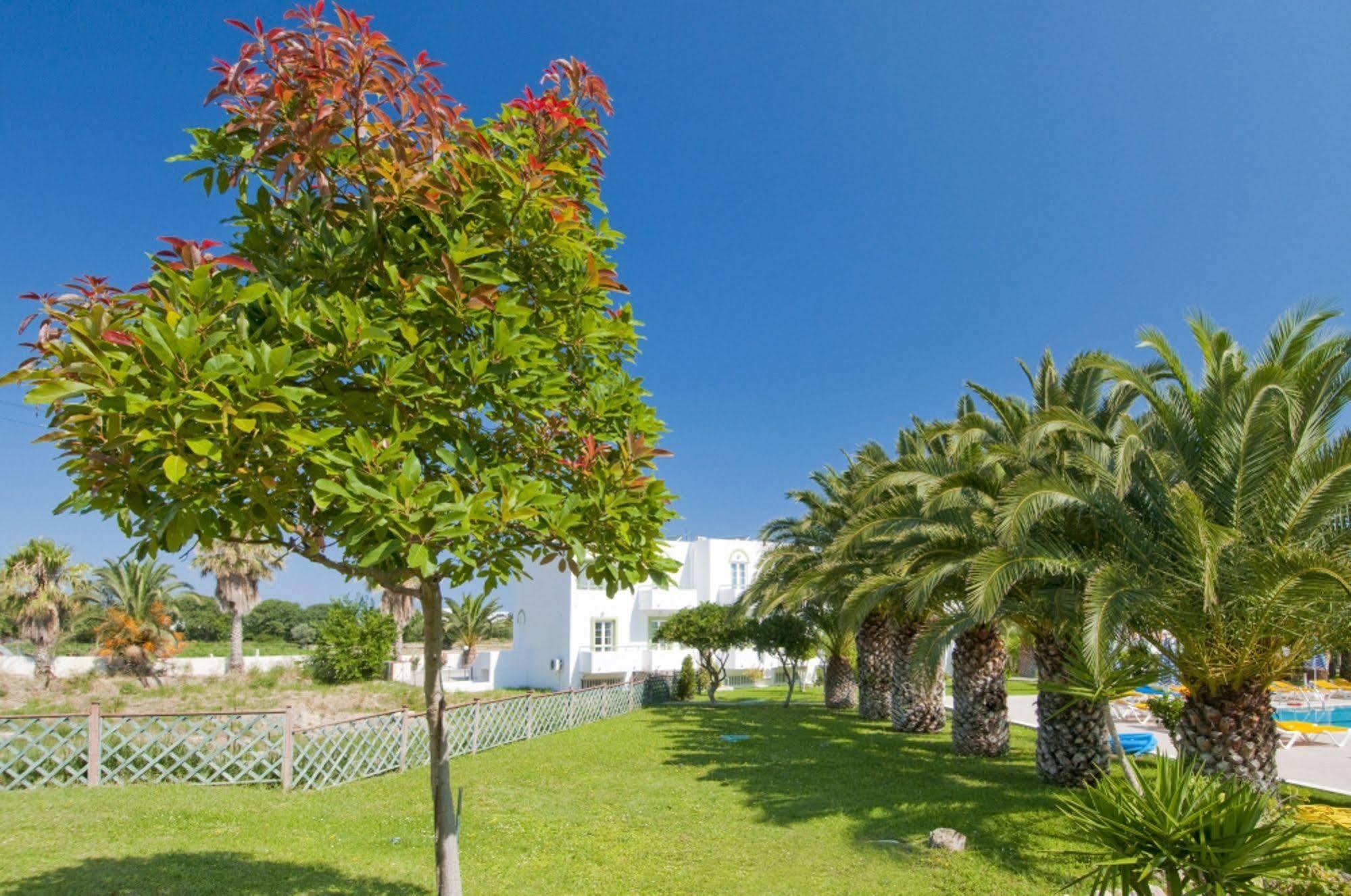 העיירה קוס Alexandra Beach מראה חיצוני תמונה